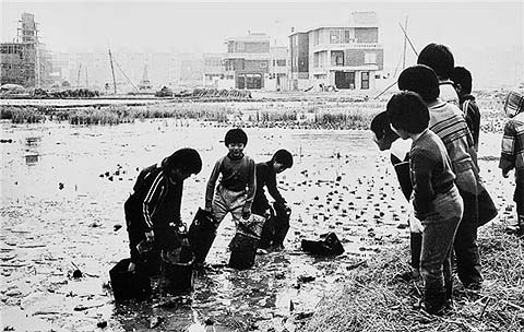 송파구 석촌동 1981년 11월 29일