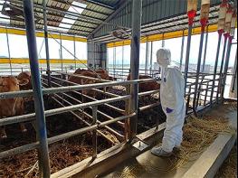 인천시, 6.1일부터 동물병원 없는 도서 지역 가축 무료 진료 기사 이미지