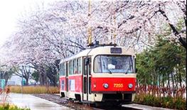 걸음마다 봄내음 물씬! `서울의 아름다운 봄 꽃길 173선` 기사 이미지