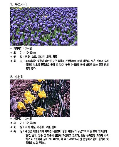 교환 봄꽃 2종 소개