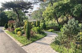 서울대공원, 식물원으로 가는 길, 피톤치드 샤워하세요! 기사 이미지