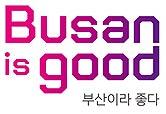 부산. 시내버스 노선개편안 마련… 배차간격 단축·도시고속형버스 도입·수요응답형 교통 확대 기사 이미지