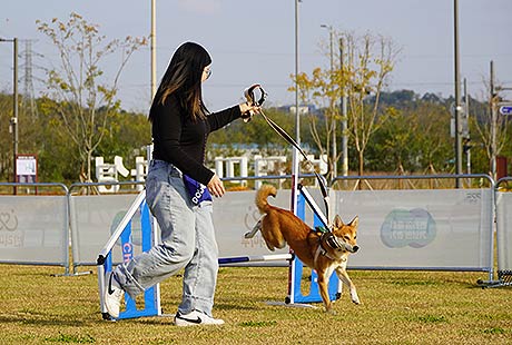 반려동물 문화교실 운영