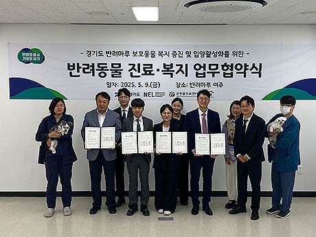 이미지1