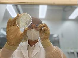 5월 해수서 비브리오패혈증균 검출… 여름철 해산물 주의 당부 기사 이미지