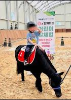 “아이들아, 말 타러 가자!” 경기도 어린이 말 체험 9월 재개...전액 무료!! 기사 이미지