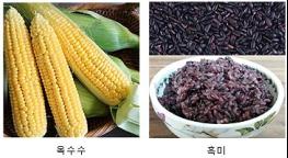 눈 건강 돕는 카로티노이드 함량, 국산 곡류 중 '옥수수' 가장 높아 기사 이미지