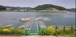 낙동강 물금·매리지점 조류경보제 "경계" 단계 발령… 부산시, “수돗물은 안전” 기사 이미지