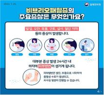 비브리오패혈증 발생 증가, 고위험군 주의 필요 기사 이미지