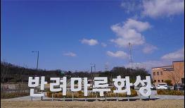경기도, 반려마루화성 입양가족과 홈커밍데이 개최 기사 이미지