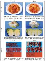 김장철, 배추김치 원산지 표시 일제점검 실시 기사 이미지