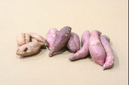 경기도, 전국 최초 ‘아까운 농산물’ 유통 지원…농가소득↑환경오염↓ 기사 이미지