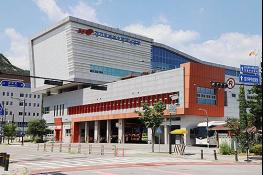 “사람 구하러 갔는데 개가 덥석”…119출동 시 ‘반려견 주의’ 당부 기사 이미지