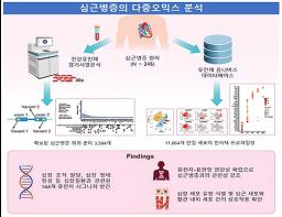 원인 미상 '심근병증' 발병 비밀 풀다, 핵심 유전자 및 세포 상호작용 규명 기사 이미지