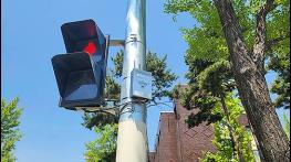 대구시, 시각장애인 음향신호기 확대 설치… “교통약자 보행권 보장” 기사 이미지