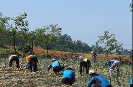 전남도, 농어민 공익수당 70만원 지급 기사 이미지