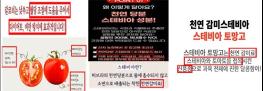 “스테비아 토마토”, 농산물이 아닌 가공식품입니다 기사 이미지