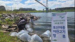 경기도, 10개 시군 강·하천에 미꾸리 등 토종 수산생물 59만 마리 방류 기사 이미지