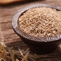 국산 귀리 하루 70g, 식후 혈당·콜레스테롤 동시 관리 기사 이미지