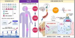 고혈압이 골관절염 악화시키는 '연결고리' 찾았다 기사 이미지