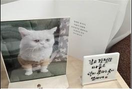 사랑하는 반려동물을 보낸 슬픔, 서울시와 함께 치유하세요 기사 이미지